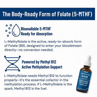 L-Methylfolate 5-MTHF Drops